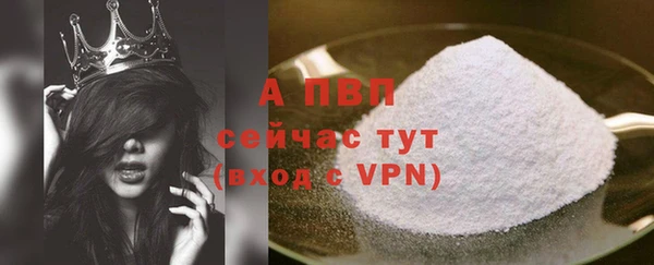 тгк Каменка