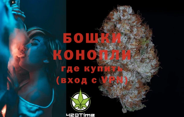 тгк Каменка