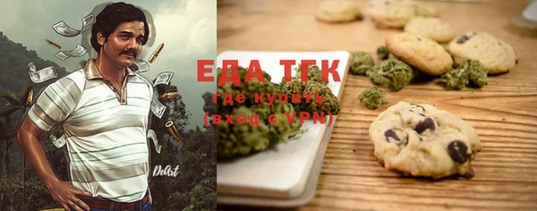 тгк Каменка