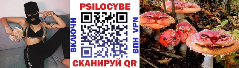 Псилоцибиновые грибы GOLDEN TEACHER  Купить закладки  Всеволожск 